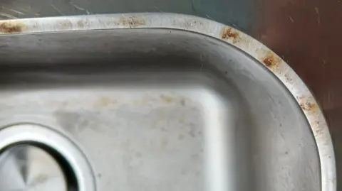 Alison Theaker Rust is seen along the side of the stainless steel sink bought from Ikea which was 11 months old.