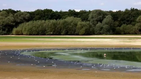 EPA Birds are seen perched around the edge of Hanningfield Reservoir in Essex, which is visibly very below capacity due to drought