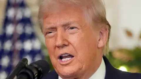 Reuters Donald Trump has thin grey-blonde hair and is talking into a mic at a press conference with the US flag behind him.