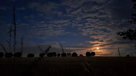 A night-time landscape of fields and silhouettes of trees on the horizon with a moon lit sky of mottled clouds and deep blue sky