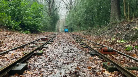 Two rail tracks with a carpet of brown leaves in between and some damp patches