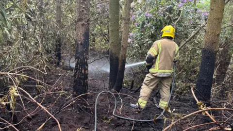 Dorchester Fire Station A firefighter in a forest dampening down an area using a jet hose 