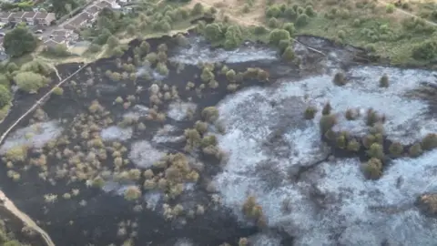 West Midlands Fire Service An aerial image of an area of land blackened after a fire, with some trees remaining green and having seemingly survived the blaze. There are buildings in the top left corner of the image, which appear to be a housing estate.