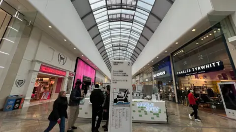 The interior of a shopping center. There is a glass ceiling with rows of stores on either side.