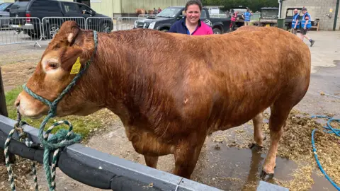A brown cow standing in a pen with its handler after being hosed down.