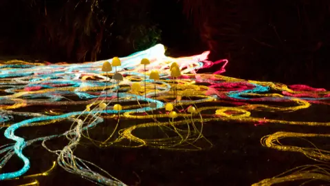 Brightly coloured fibre-optic cables of blue, yellow and red, laid out on a church green