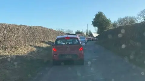 A small rural road flanked by freshly-trimmed hedges has cars queueing on one side of the road.