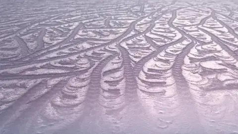 Tire tracks in the snow. 