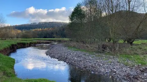 A river with a green bank on the left side and a stoney bank on the right. On the right there are trees and there are also trees in the distance. The sky is bright blue and the clouds reflect in the water.