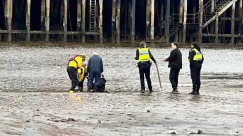 People in hi-vis pull a woman out of mud at the beach