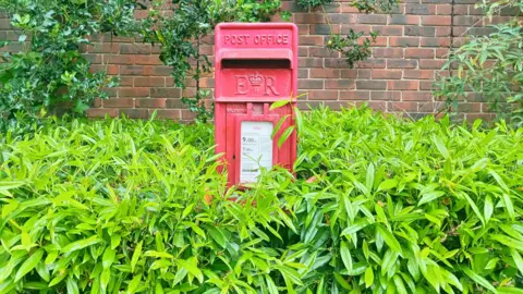 Elsie from the block A small red letterbox surrounded by bushes, though they do not cover the letter slot at the top of the box.