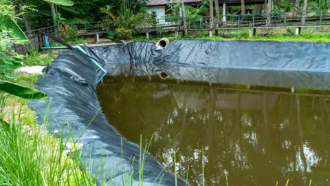 Getty Images The image shows a reservoir of water with black plastic lining along the edges.