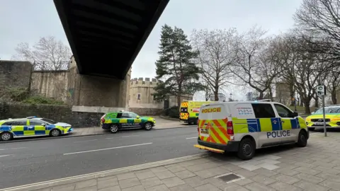 A police car, a police van, a critical care car, a paramedic car and an ambulance parked up on wide pavements. There is a bridge overhead and a park on the far side with castle-like structures and trees. 