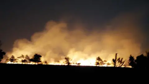 Dorset and Wiltshire Fire and Rescue Service Black silhouette outline of trees in a field. There are yellow/gold flames rising from behind the trees and smoke in the sky. It's nighttime.