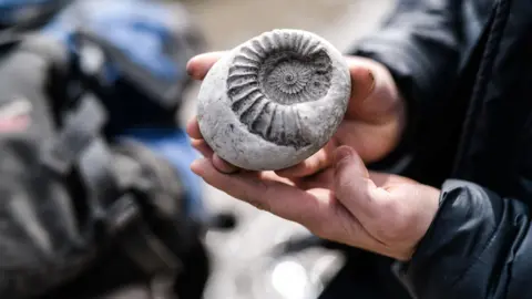 Lyme Regis Museum Someone holds up an ammonite fossil encased in a rock. It looks like the imprint of a large shell. 