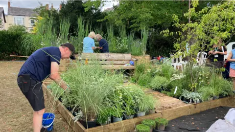 People are tending to a garden with green plants.
