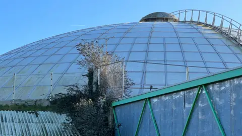 A view of the Grade II listed dome over the swimming pool at the Oasis Leisure Centre in Swindon, showing fencing around the site and patches of overgrowth sprouting from the building.