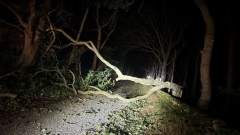 DSBM Recovery Fallen tree being chopped up by worker in the dark.