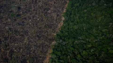 Getty Images Aerial presumption    showing a deforested country  of the Amazonia rainforest 