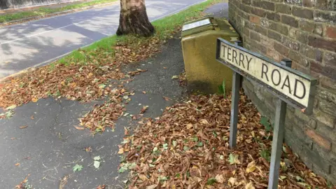 Brian Farmer/BBC A white road sign, fixed to two grey posts. with the words "Terry Road" written on it in black capital letters. Brown and green leaves are lying on a black footpath below the sign. Behind the sign is a brown brick wall, a yellow salt container, a brown tree trunk, a green grass verge and a black road.

