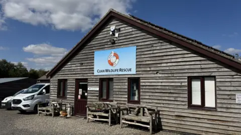 Cuan Wildlife Rescue A wooden building with a large sloped roof and a number of wooden benches at the front, with two white vans parked alongside