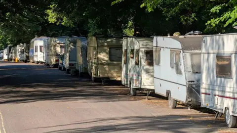 A row of caravans on a tree-lined road.