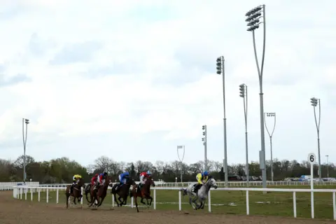 PA Media Horses, with jockeys riding on them, are galloping on a sandy track, with floodlights towering above them.