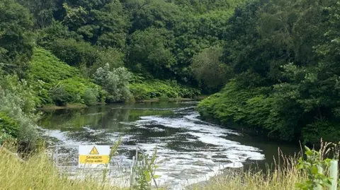 The River Irwell surrounded by plants and green shrubs on the river banks