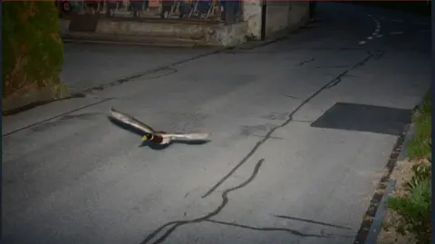 A brown and white duck flying along a street caught on a speed camera in the city of Koeniz, Switzerland on 13 April 2025.