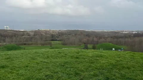 Grassy hills and open parkland with scattered trees under a cloudy sky, with distant urban buildings visible on the horizon.