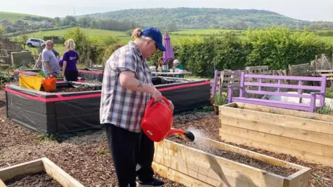 Bek Homer/BBC A view across an allotment, showing a person watering a raised vegetable bed.