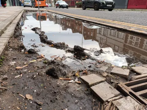 Ted Peskett Rain garden in Tudor Street, Cardiff