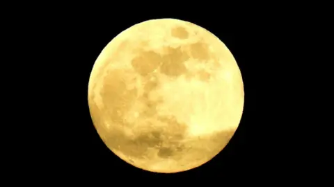 Navigatio/BBC Weather Watchers The Moon is bright yellow against a pitch black sky.