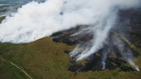 UK bushfires