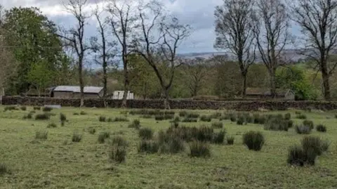 A large green field, with a stone wall and buildings in the distance and several trees
