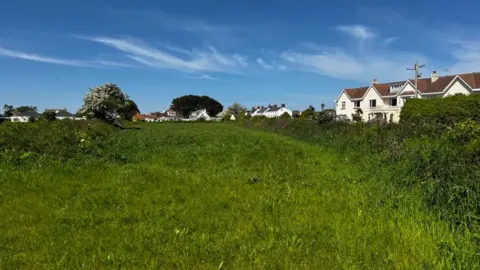 A grassy site of where some of the houses could be built. It is a sunny scene and there are a number of houses on the right.