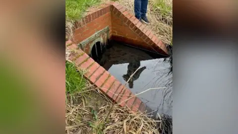 North Northamptonshire Council A man's legs, wearing blue trousers, standing by water, with oil in it. It is a brick-built water culvert, with reeds and grasses on either side of the bank. 