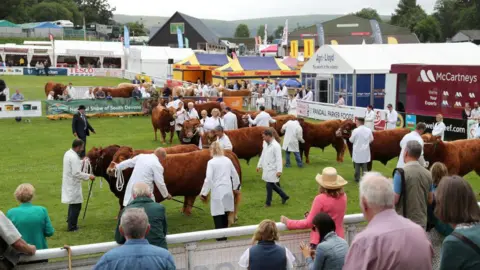 Chris Jackson A general view of the Royal Welsh Agricultural Show.  Bulls are being exhibited in the cattle ring with their handlers in white coats and a judge in a black suit and bowler hat.