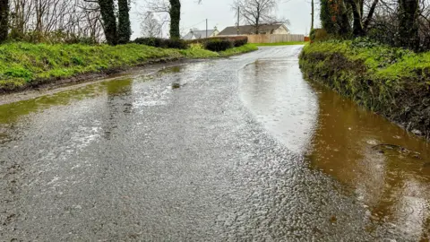 Ian - Ballymena Weather Watcher A road in Ballymena, pictured on Friday, shows minor flooding on one side. There is a grassy bank.