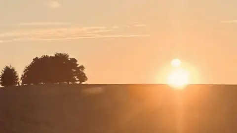 Michael J Major The sun emits a dazzling burst of light as it rises over a hill. To the left of the sun there are several trees.