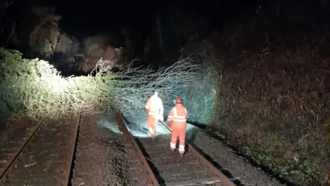 Translink Two workers dressed in an orange high visibility jacket and trousers work at a railway line. It's night time and a large tree is blocking the line in front of them.