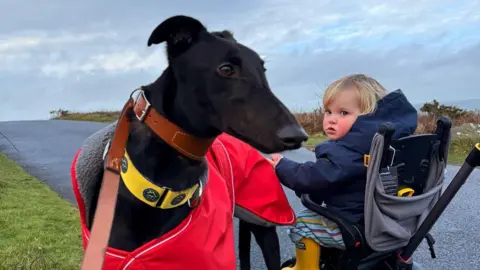 Cody Lewis A black greyhound standing next to a blonde toddler in a push chair. The dog is wearing a leather collar and a red jacket