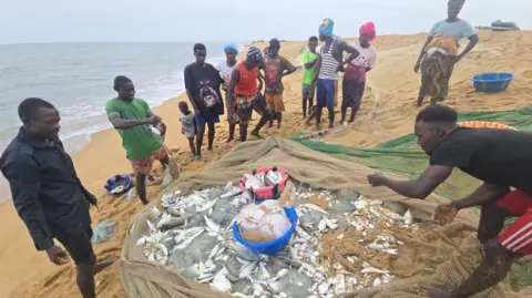 Fisherman on Sherbo Island in Sierra Leone stand around a net holding their latest catch