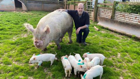 Man perched on the grass next to a big pig and lots of piglets