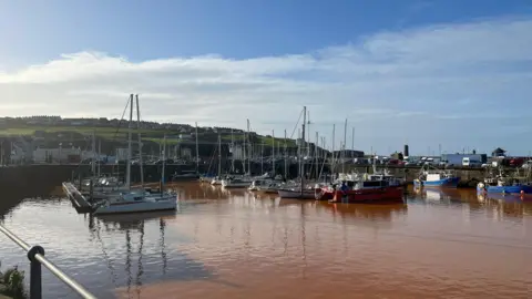 A general view of Whitehaven Harbour where the water is an orange/brown colour. Sailing boats are moored in the harbour. In the distance there is a small hill with houses. The sky is blue with a few clouds.