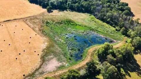 An aerial view of a wetland in Somerset shows a small area of water in the bottom right hand cover of an otherwise totally parched field. Whilst the water is surrounded by a small border of greenery, the fields all around it are brown.