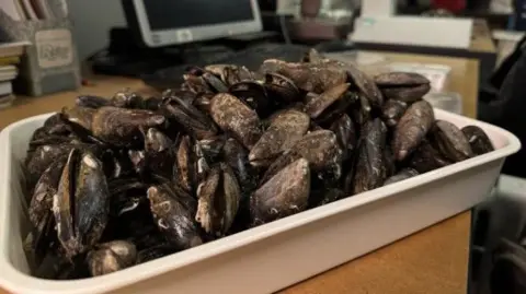 Shellfish in a white container