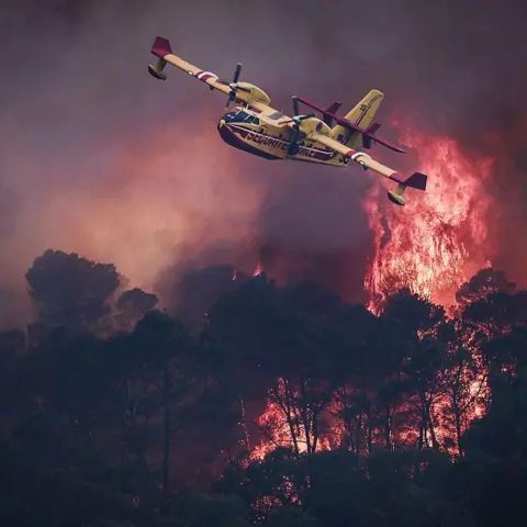 A small yellow airplane flies over red flames rising in smoke above dark trees. 