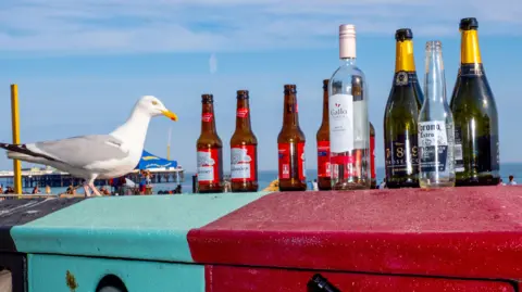 A seagull perched on a blue and red bin on which there are multiple empty bottles of alcohol.