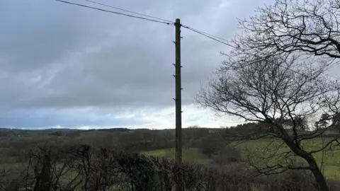 BBC A telephone mast stands in a field, behind a bare hedgerow and next to a tree. The landscape rises behind the mast, with trees on the horizon under an overcast sky.
